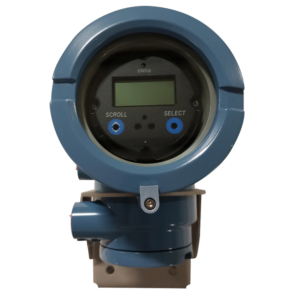 DISP1700 | Micro Motion™ Display for 1700