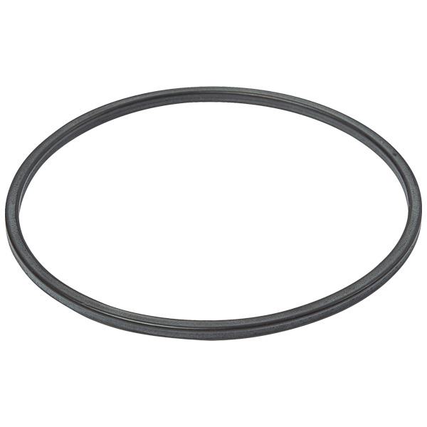 21860001-11 | ABB Gasket Ring