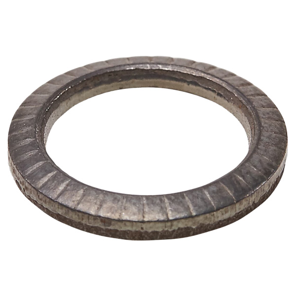 3HAC026169-001 | ABB Serrated Lock Washer