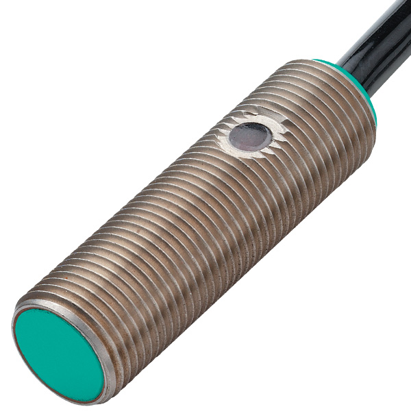 NJ2-12GM40-E2-10M | Pepperl+Fuchs Inductive Sensor