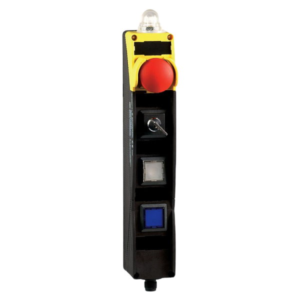 103007787 | Schmersal BDF200-LT-11-LT-LT-LT-2875