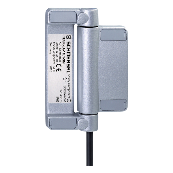 103005745 | Schmersal TESK-SA-12L1-3M