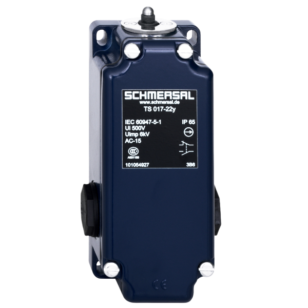 101054926 | Schmersal Position Switch TS 017-31Y