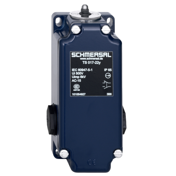 101054923 | Schmersal Position Switch MS 017-22Y