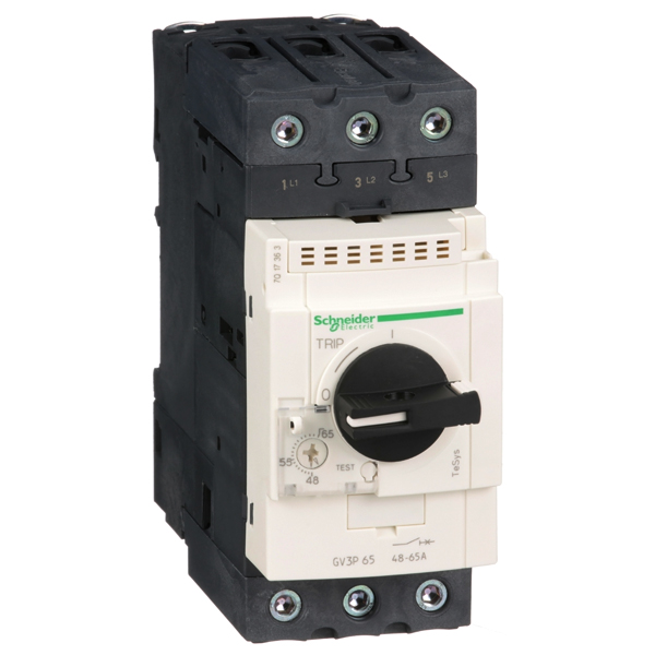 GV3P65 | Schneider Electric Motor Circuit Breaker [SAME DAY DELIVERY]