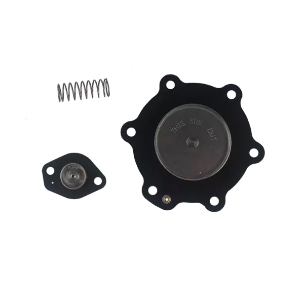 C113-827 | ASCO Diaphragm Spare Part Kit