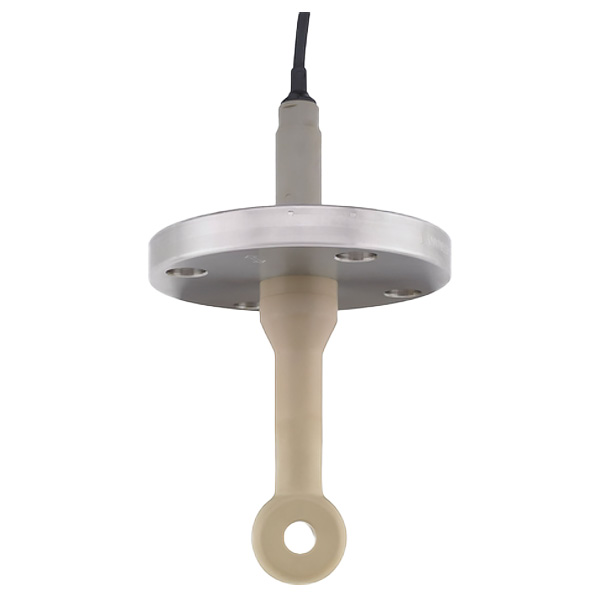 CLS50D-AA1B21 | E+H Indumax CLS50D Digital Conductivity Sensor