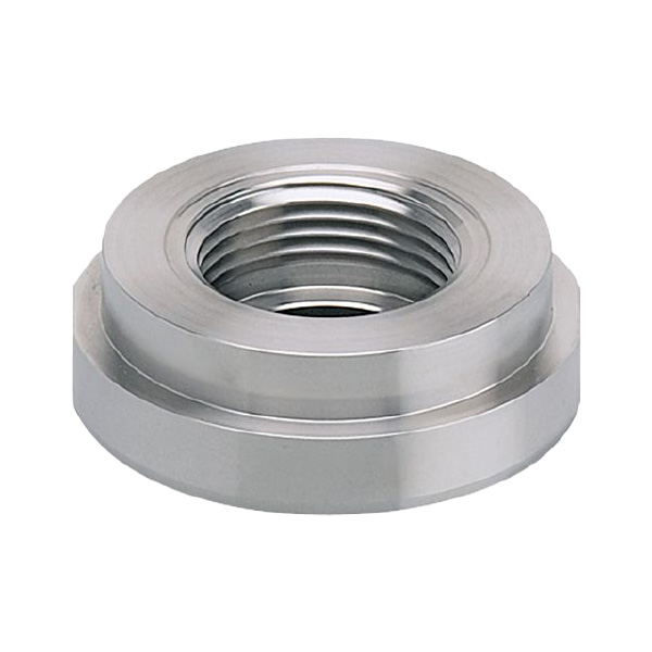 E33102 | IFM Electronic Process Adapter Pipe Fitting