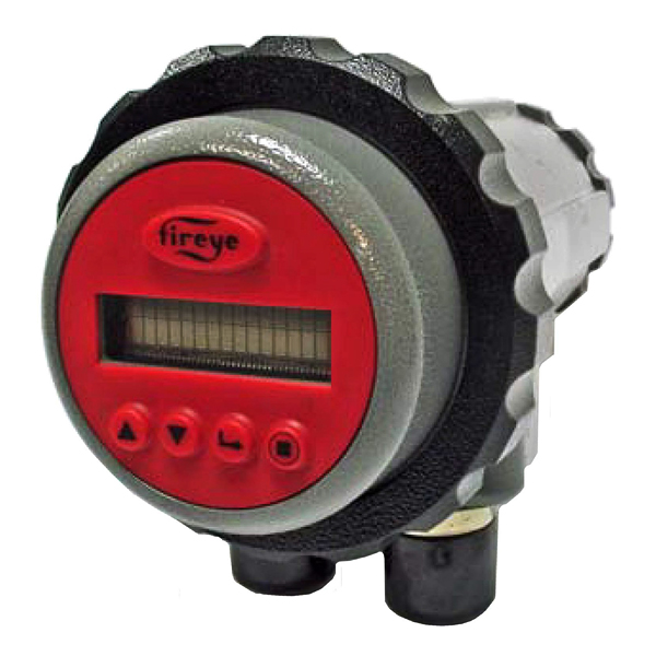 95DISP-1 | Fireye Vacuum Fluorescent Display (VFD)