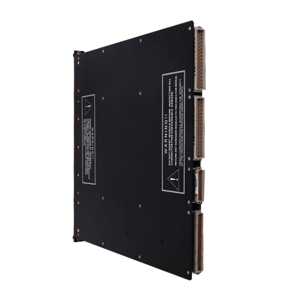 9753-110 | Triconex Voltage Input Term Panels